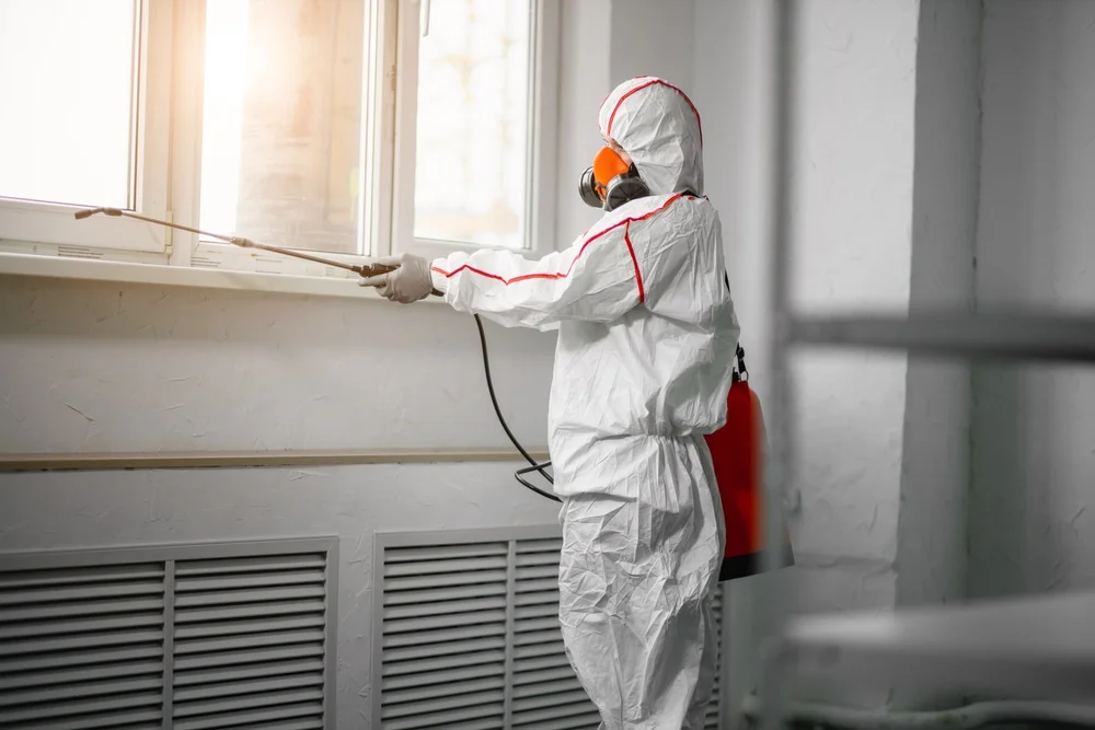 Professional mold remediation services in Reinholds, PA